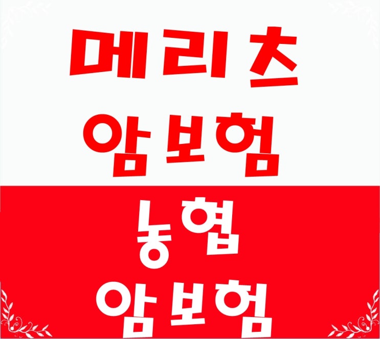  메리츠암보험 (농협,DB,롯데)등 비갱신형으로 합리적 준비방법