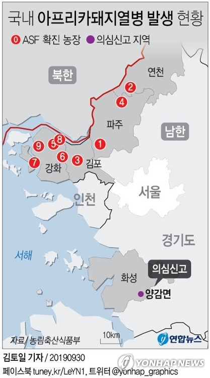  경기 화성에서 아프리카돼지열병 의심신고