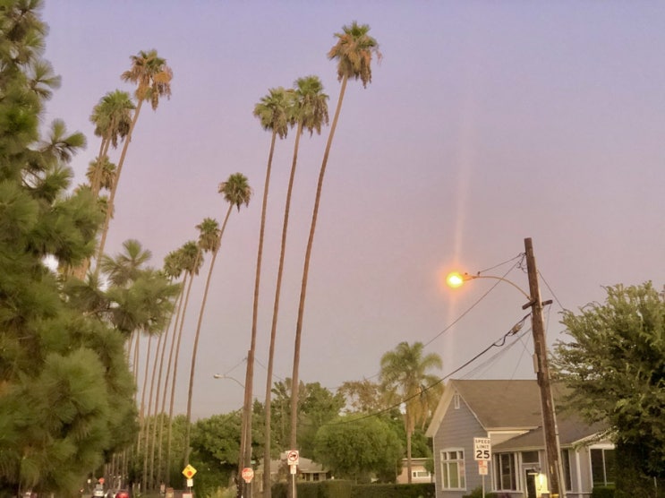  Santa Ana, California Day-1