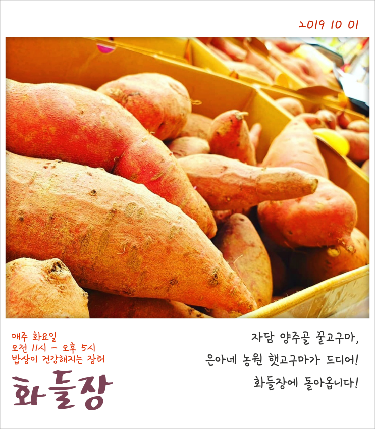  10월 1일 화들장 출전팀 목록