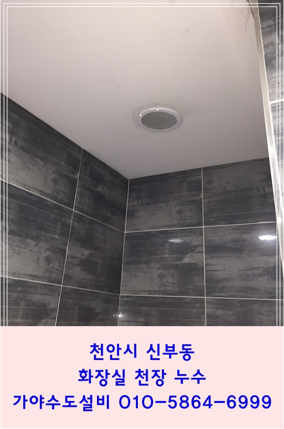  천안시 신부동 상가 건물 공용화장실천장누수 pvc배관누수 배관수리 누수배관보수