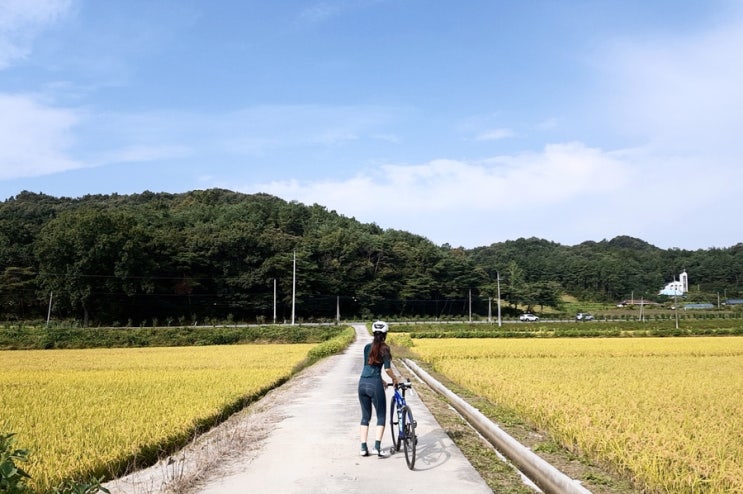  얼리버드&단비책방데이딩