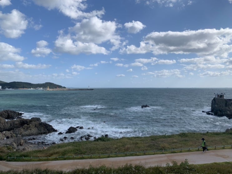  부산살이 12주차-추석맞이 광주 방문, 무등시장 동네이모, 새마을상회, 오랑대 캠핑, 황금코다리, 대패파티