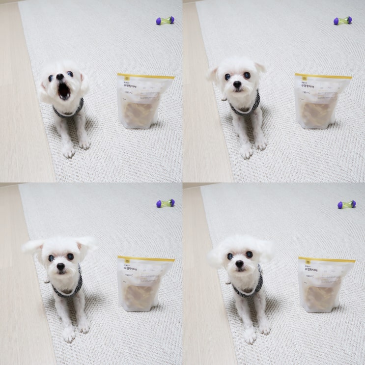  강아지 동결건조간식, 첨가물 없는 닭가슴살 & 황태