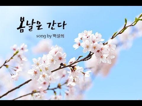 봄날은 간다「KPOP-KTrot」 -가수 이선희&가수 최백호_[원곡가수 백설희]1953년