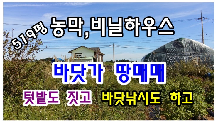 포항부동산-바닷가 토지매매 구룡포읍 석병리 농막,비닐하우스 완비된 농지(밭매매)