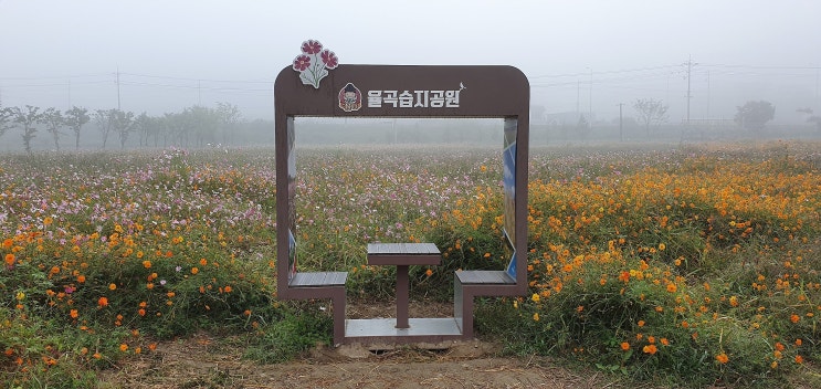  파주향교, 파주 덕은리주거지와지석묘군,율곡습지의 보물을 찾아서