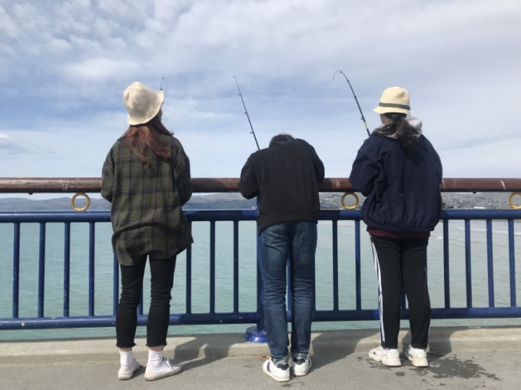  [뉴질랜드 여행/어학연수] 뉴 브라이튼 피어(new brighton pier)에서 낚시