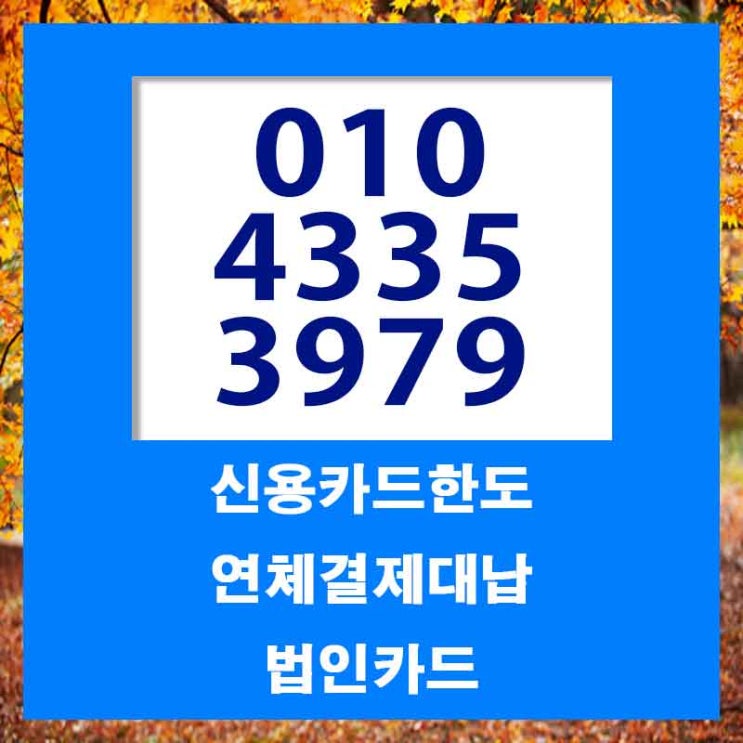  목포카드대납 쉬운 곳 정보 알아보기