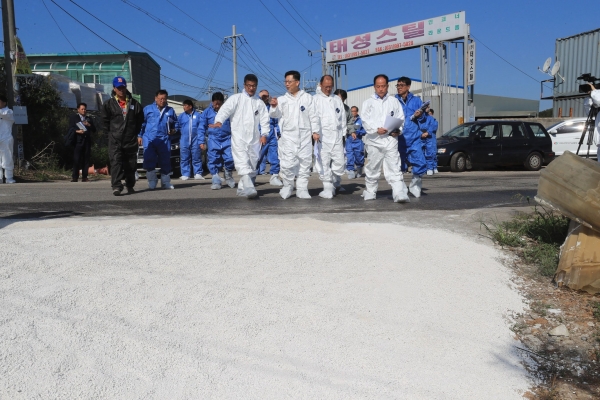  공포감 커지는 아프리카돼지열병, 향후 전망과 최악 시나리오는?