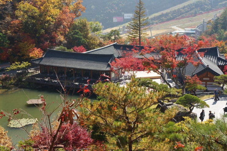  곤지암 화담숲 10월에 가볼만한곳 강추해요