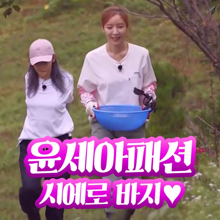  삼시세끼 윤세아 옷 정보  시에로 바지였네