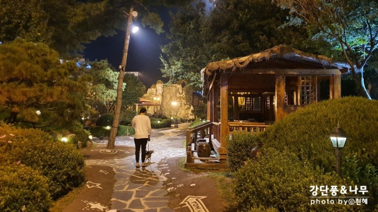  남양주 소리소 카페 탐앤탐스 야외 애견동반