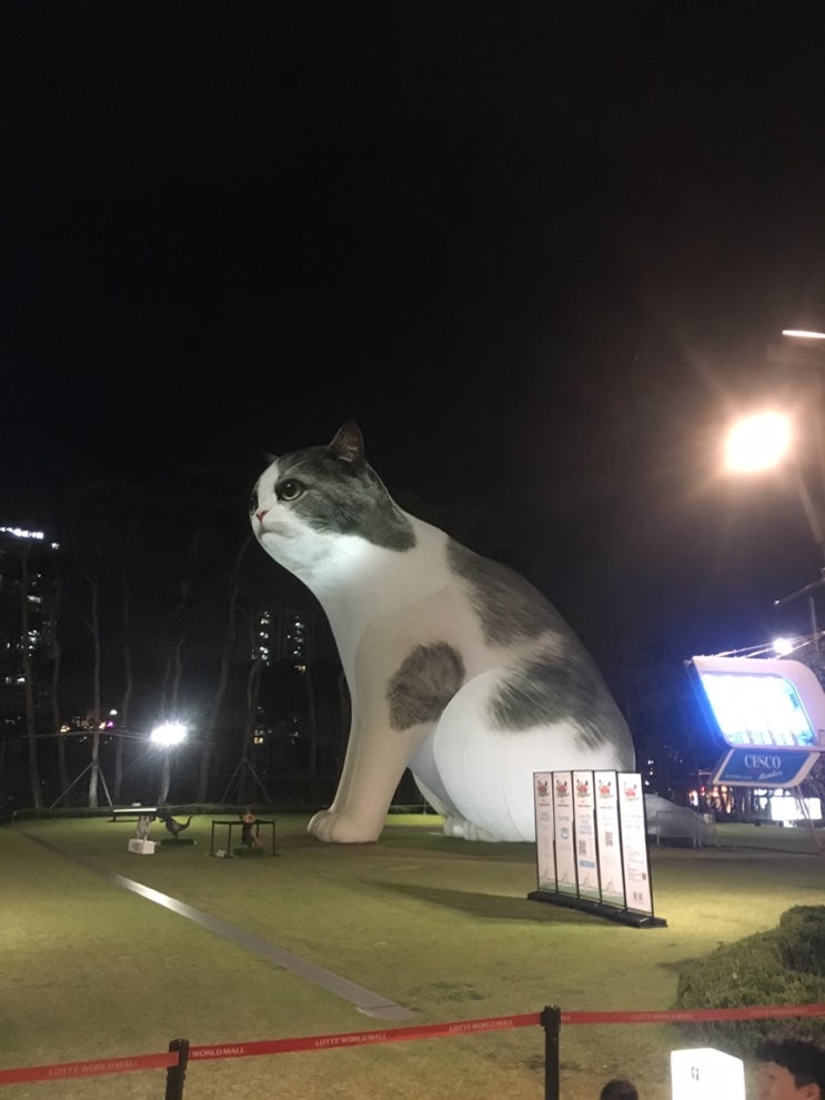  (잠실) 메론설빙 & 롯데타워 고양이 & 다운타우너 버거