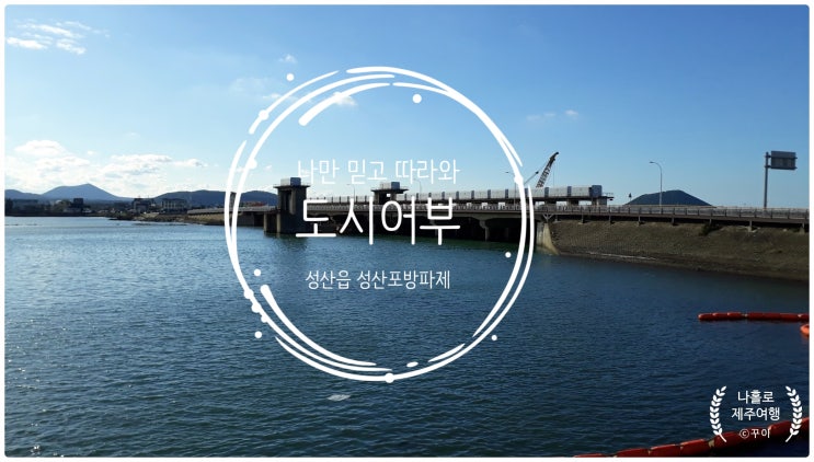  나만 믿고 따라와 도시어부 서귀포 성산읍 성산포 방파제 생활낚시 포인트와 가능한 낚시 장르 모음