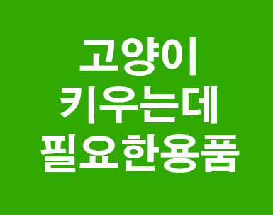고양이용품 필수적으로 챙겨야 할것 고양이용품 필수적으로 챙겨야 할것