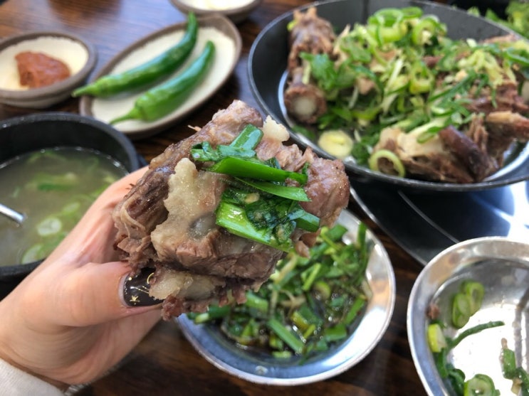  [신대방 맛집] 식신로드 정준하 단골 소꼬리찜 보양식 맛집! 등나무집