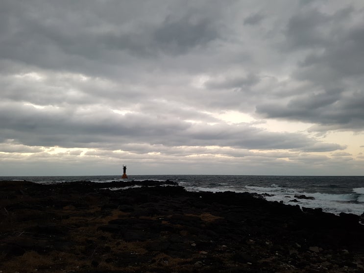 2019년 제주살이 두번째 새해가 밝다