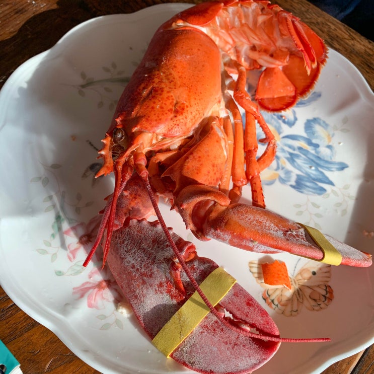  홍루이젠, 자연드림 목살, 코스트코 새우완자탕, 홈플러스 킹크랩, 꼬기장군 리얼갈비