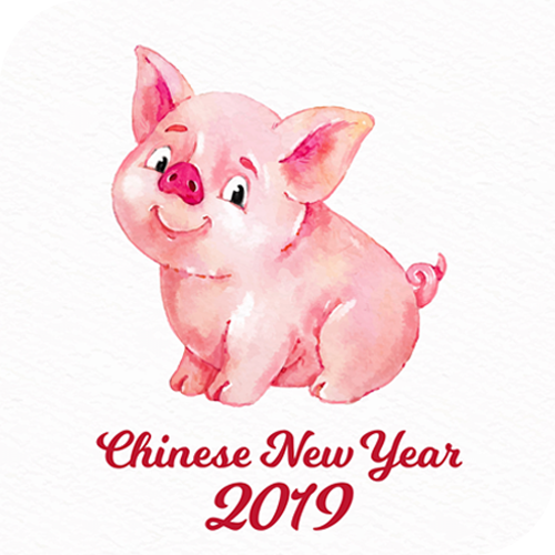  2019년 새해인사말 모음, 기해년 황금돼지 이미지 공유
