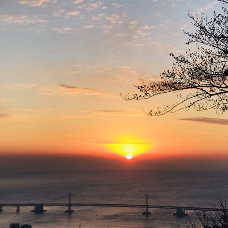  [기해년 2019년] 부산 2020년해돋이 명소 추천