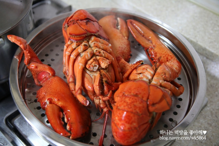  [ 자이언트 킹 랍스터 ] GS홈쇼핑 랍스타 2019 새해첫날 맛본 따끈후기,