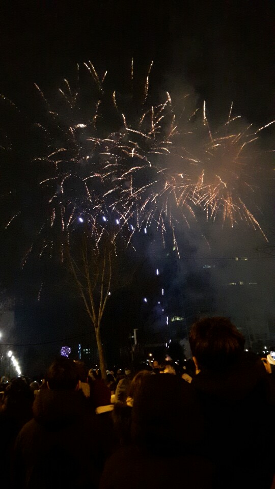  2018년 제야의 종소리(feat불꽃놀이)