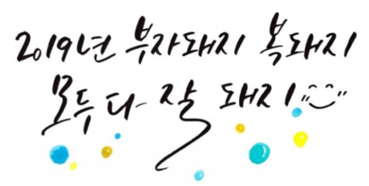2019년 새해 복 많이 받으세요~!! 2019년 새해 복 많이 받으세요~!!