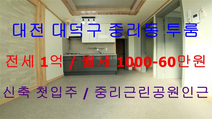  중리동신축투룸/중리동신축투룸전세/대전중리동신축투룸/대전중리동신축투룸전세/대덕구신축투룸/대덕구신축투룸전세/대덕구중리동신축투룸/대덕구중리동신축투룸전세