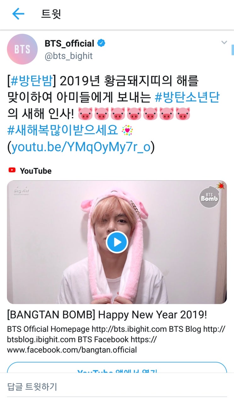  [190101 방탄밤] 방탄소년단이 아미들에게 보내는 2019년 새해 인사()