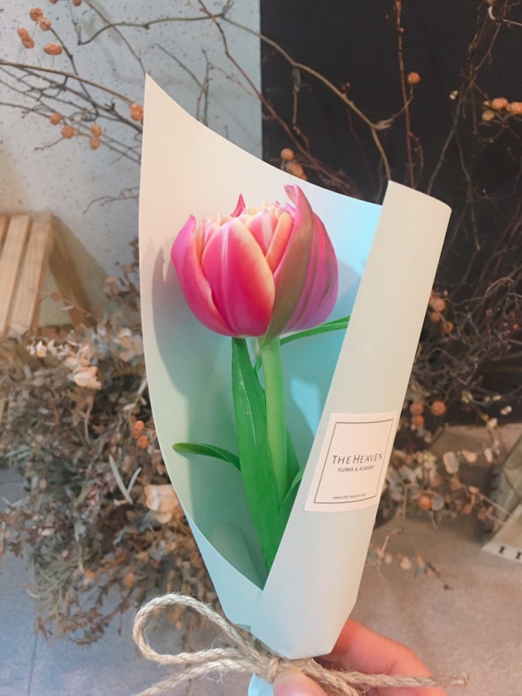  새로운 시작 연말 클래스 등록 _ 야놀자 스노우 선물 _ 연남동 , 동생과 만난 날 ~