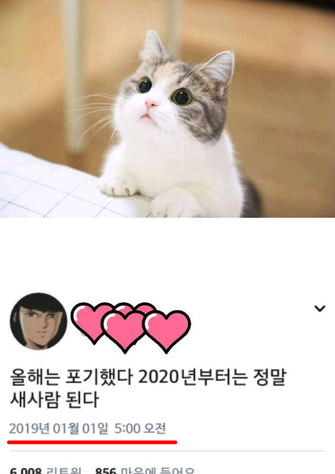 새해 목표 !! 새해 목표 !!
