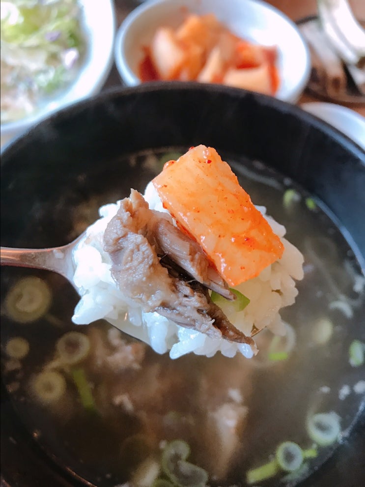  {전주터미널,전북대} 20년 전주 토박이가 인정하는 터미널, 전북대 근처 맛집, 벽계가든