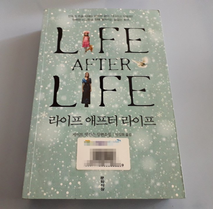  라이프 애프터 라이프