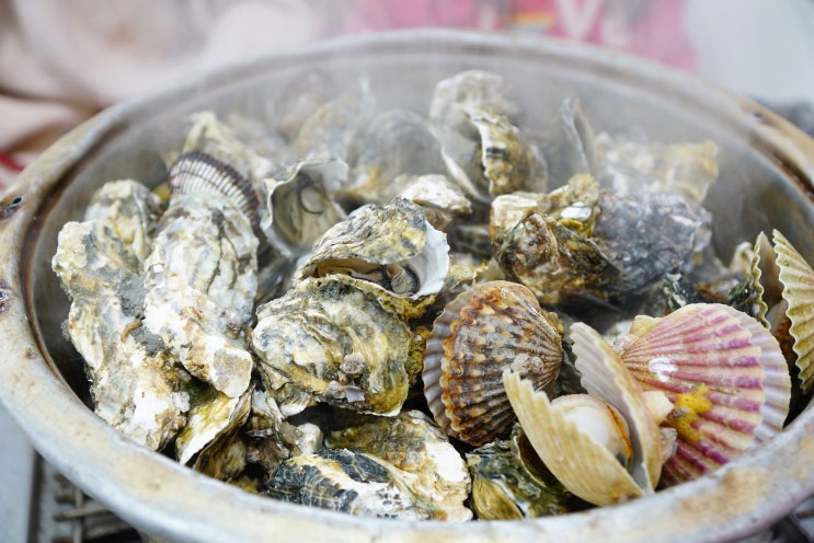  보령 천북굴축제 굴찜 먹고 왔어요~