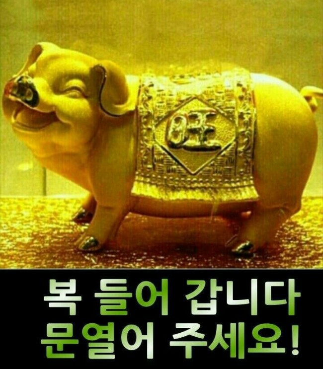  새해 복 많이 받으세요