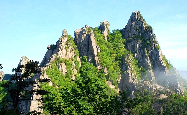  강경호의 <산에 와 심심하니>