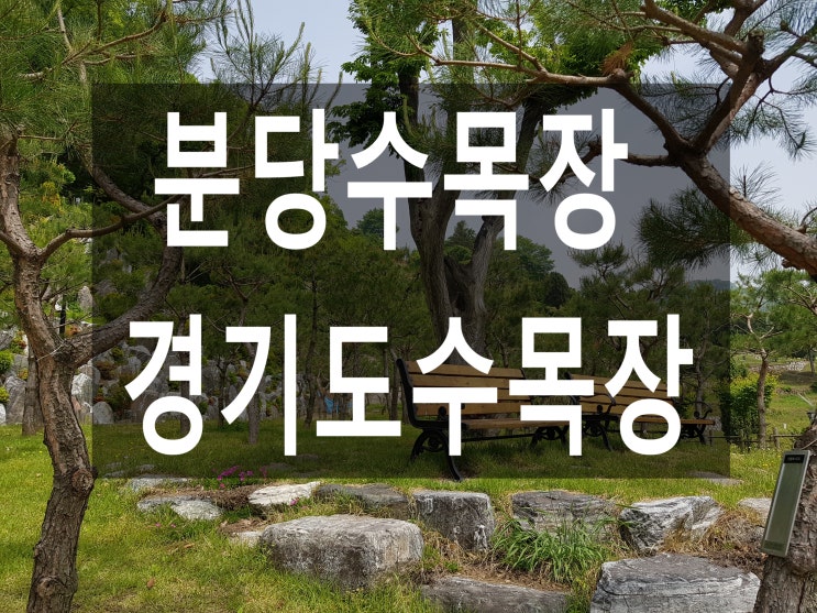  분당수목장 가깝고 조용한 쉼터!