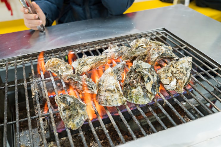  보령 천북굴축제 가볼만한곳 추전 천북굴단지 가서 석화 먹고 옴