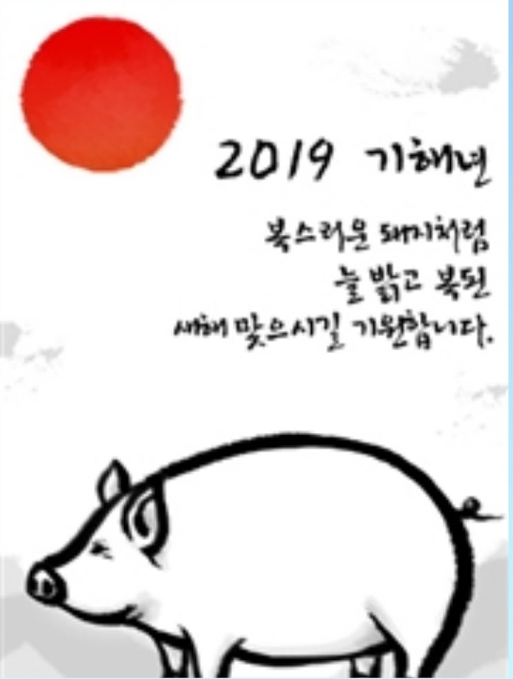 2019 기해년