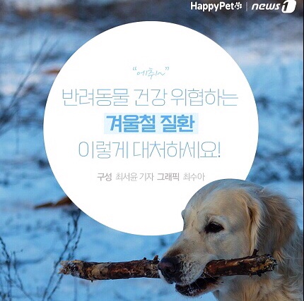  [뉴스1] [펫카드] 반려동물 건강 위협하는 겨울철 질환, 대처법은