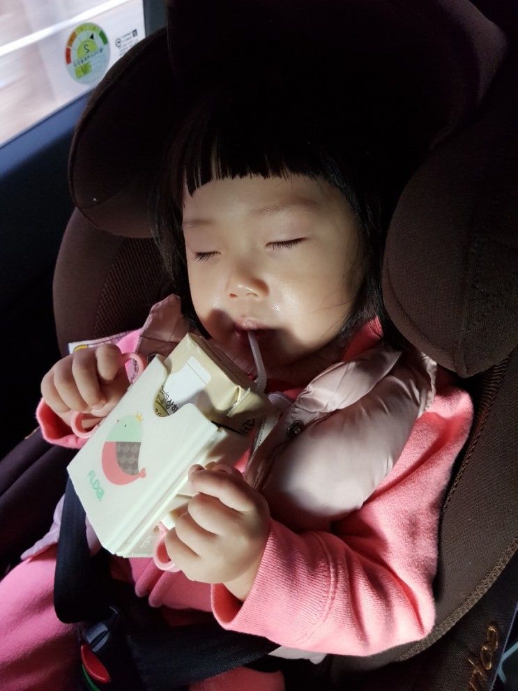  단유 후 : 공갈 젖꼭지(쪽쪽이), 젖병 젖꼭지, 빨대꼭지 끊기