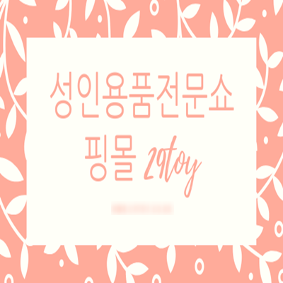  성인용품 쇼핑몰 29토이 오픈 후기입니다.