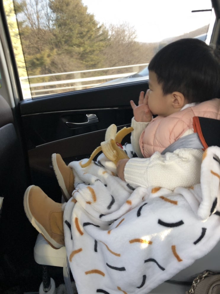  아기랑속초여행, 디그니티호텔,낙산해수욕장,양양산불, 19개월아기,2019년새해첫날