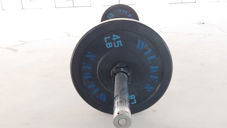 꿈쩍 놀란 45 LB ㅋ~ 역기 의 허당 꿈쩍 놀란 45 LB ㅋ~ 역기 의 허당