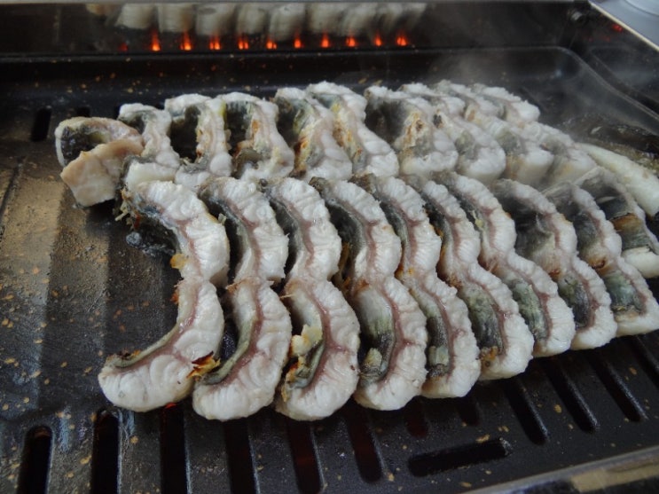  [광주] 광주 노대동 맛집 / 민물장어 맛집 / 카페발리 / 직영 양만장을 운영하는 '노대장어'