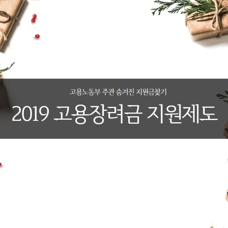  고용노동부 - 2019 고용 장려금 지원제도