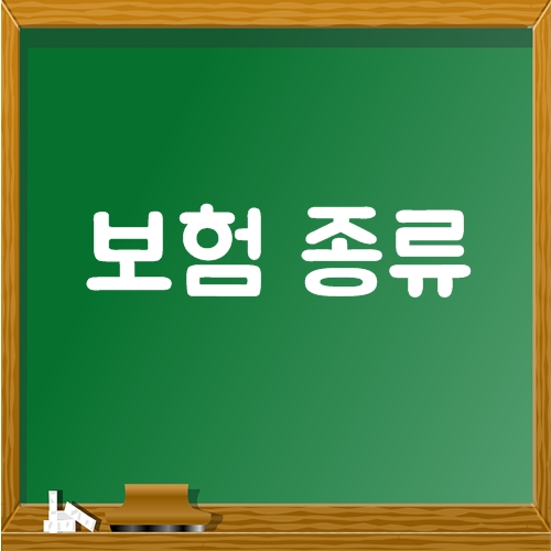  보험종류가 많은데 어떤걸 들어야 하나요?