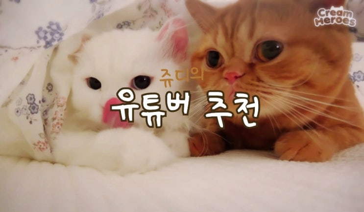  유튜버 추천 _ 단희쌤, 아란TV, 크림 히어로즈 등