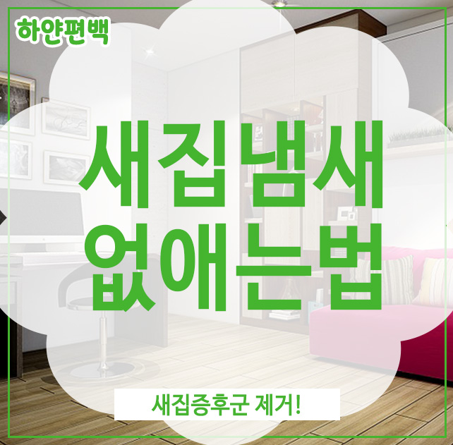  새집냄새없애는법, 새집증후군 제거!